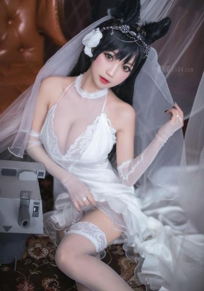巡回检察组电视剧