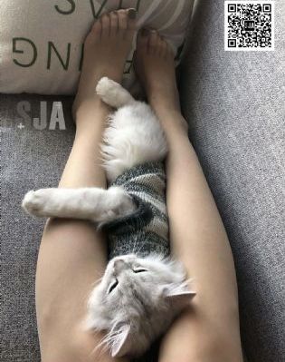 致青春·原来你还在这里 电影