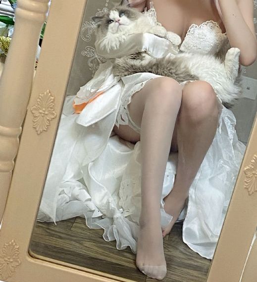 血染淑女高清完整版免费观看