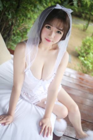 虎胆神鹰共40集